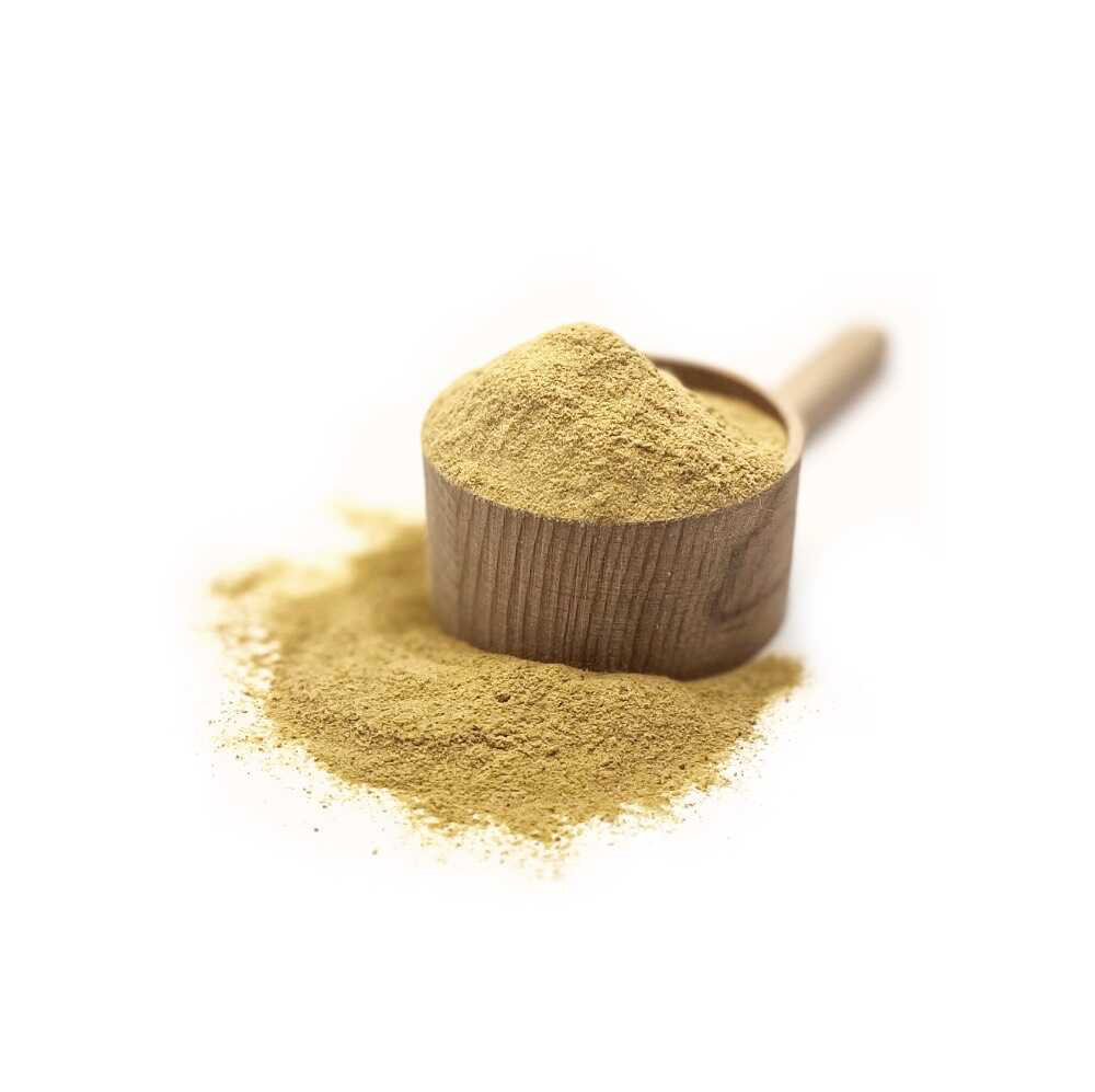 Pivovarské kvasnice